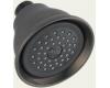 Delta RP41589PT Aged Pewter Touch-Clean Showerhead