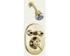 Delta T18230-PB Innovations Brilliance Polished Brass Monitor Scald-Guard Jetted Shower System