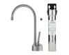 Franke DW8080-FRC Twin Satin Nickel Beverage Faucet with Filtration System
