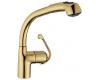 Grohe Ladylux Plus 33 737 R00 Polished Brass Pull-Out Kitchen Faucet