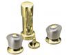 Kohler Coralais K-15286-7-PB Vibrant Polished Brass Bidet Faucet with Sculptured Handles
