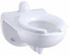 Kohler Kingston K-4323-L-33 Mexican Sand 1.28 Toilet Bowl with Rear Spud and Bedpan Lugs