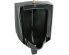 Kohler Bardon K-4960-ET-7 Black Black Urinal with Top Spud