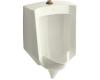 Kohler Stanwell K-4972-ET-96 Biscuit Lite Urinal with Top Spud