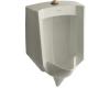 Kohler Stanwell K-4972-ET-G9 Sandbar Lite Urinal with Top Spud