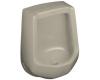 Kohler Freshman K-4989-R-G9 Sandbar Urinal with Rear Spud