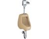 Kohler Darfield K-5024-T-33 Mexican Sand Urinal with Top Spud