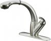 Kohler Avatar K-6352-B4 Brushed Nickel Pull-Out Kitchen Faucet with Polished Nickel Accents