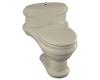 Kohler Revival K-3612-G9 Sandbar One-Piece Elongated Toilet with Toilet Seat and Cover and Lift Knob