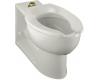 Kohler Anglesey K-4396-95 Ice Grey Elongated Bowl with Rear Spud