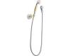 Moen Kingsley 3861CP Chrome/Polished Brass Handheld Shower System with Wall Bracket