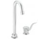Moen 8901 M&#8212;Bition Chrome One-Handle Pantry Faucet