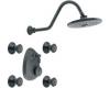 ShowHouse by Moen Waterhill S511WR Wrought Iron Moentrol Vertical Spa Set