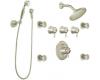 ShowHouse by Moen Solace TS576BN Brushed Nickel ExactTemp 3/4" Vertical Spa Set