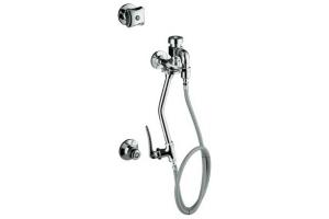 Kohler Triton K-13931-2A-CP Polished Chrome Built-In Bedpan Washer with Washer Standard Sprayhead and Handle